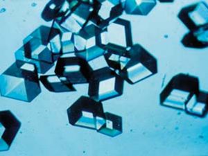 دانه های شکر زیر میکروسکوپ