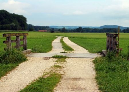 مطالعات نشان می‌دهند که برخورداری از درمان به روز دیابت، به محل زندگی شما بستگی دارد.