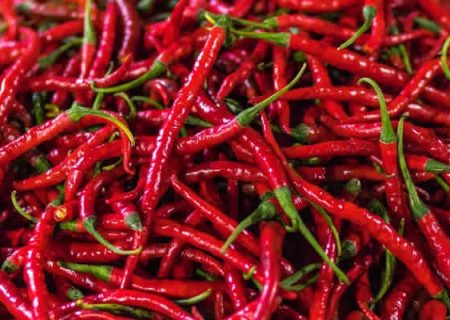 فلفل قرمز مرگ ناشی از بیماری‌های قلبی – عروقی را ۲۶ درصد کاهش می‌دهد