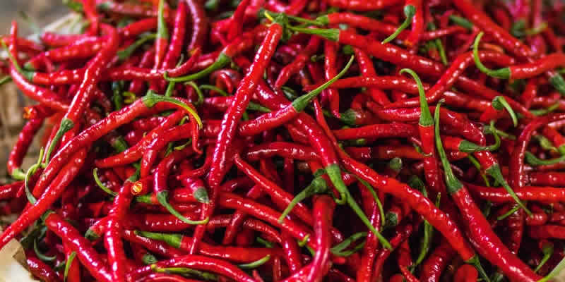 فلفل قرمز مرگ ناشی از بیماری‌های قلبی – عروقی را ۲۶ درصد کاهش می‌دهد