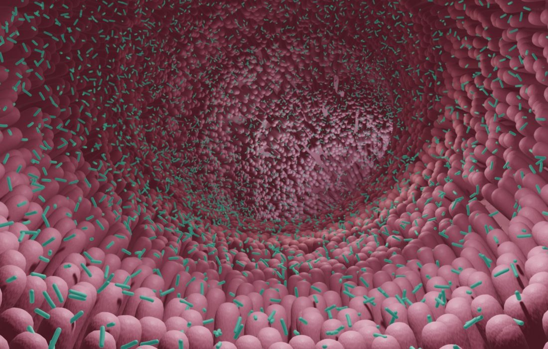 باکتری روده ممکن است در دیابت نقش داشته باشد